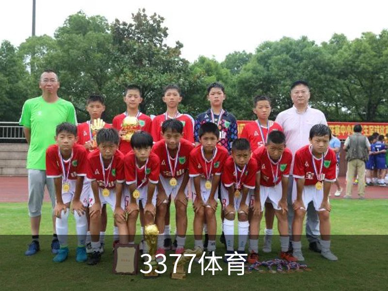 关于3377体育